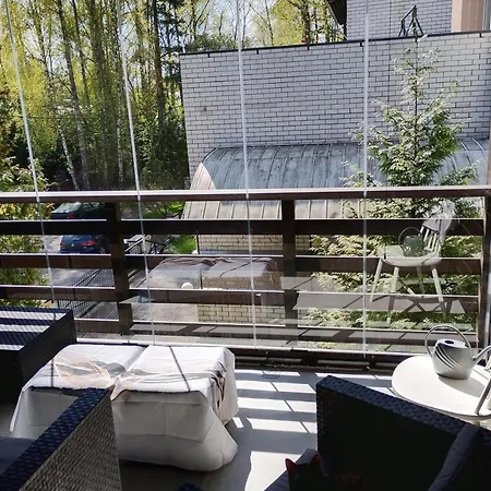 Professor Pensjonat *