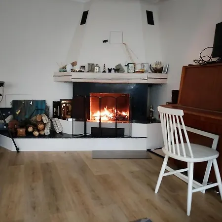 Vendégház Professor *