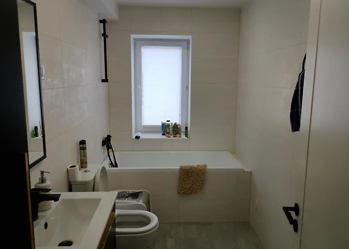 Professor Pensjonat *