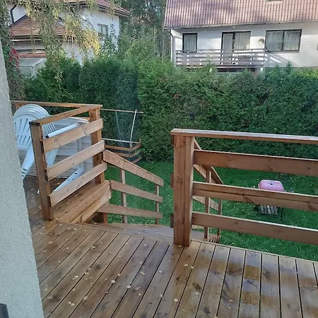 Professor 招待所 *