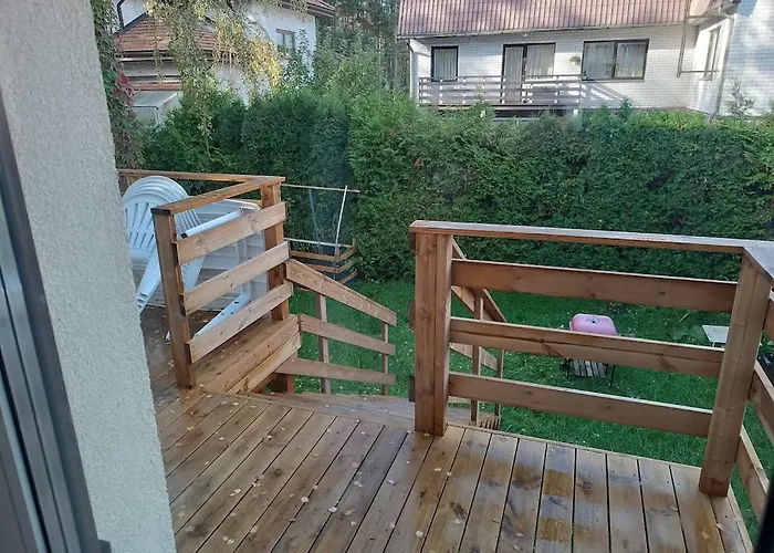 Professor 게스트하우스 *